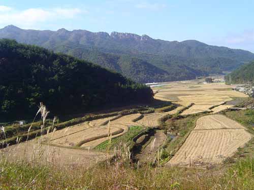 작년 가을의 백아산 서사면 